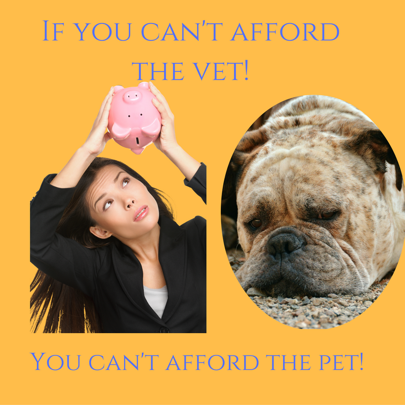 if-you-can-t-afford-the-vet-you-can-t-afford-the-pet-the-animal