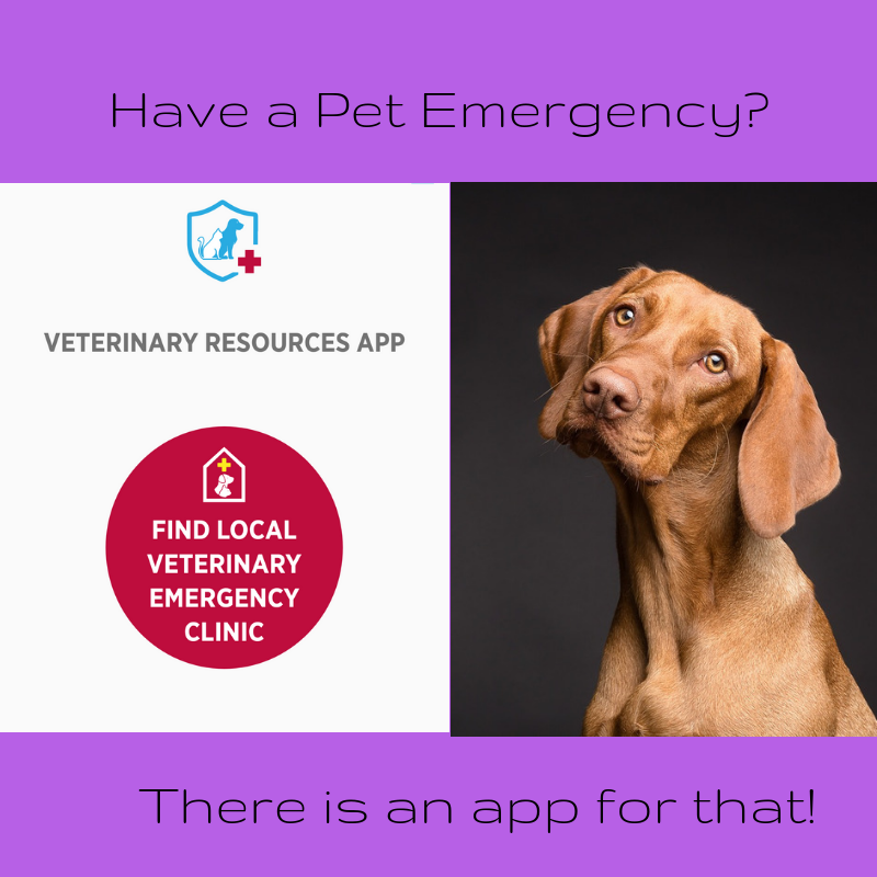 Have a pet emergency!! There is an app for that! - The Animal Doctor Blog